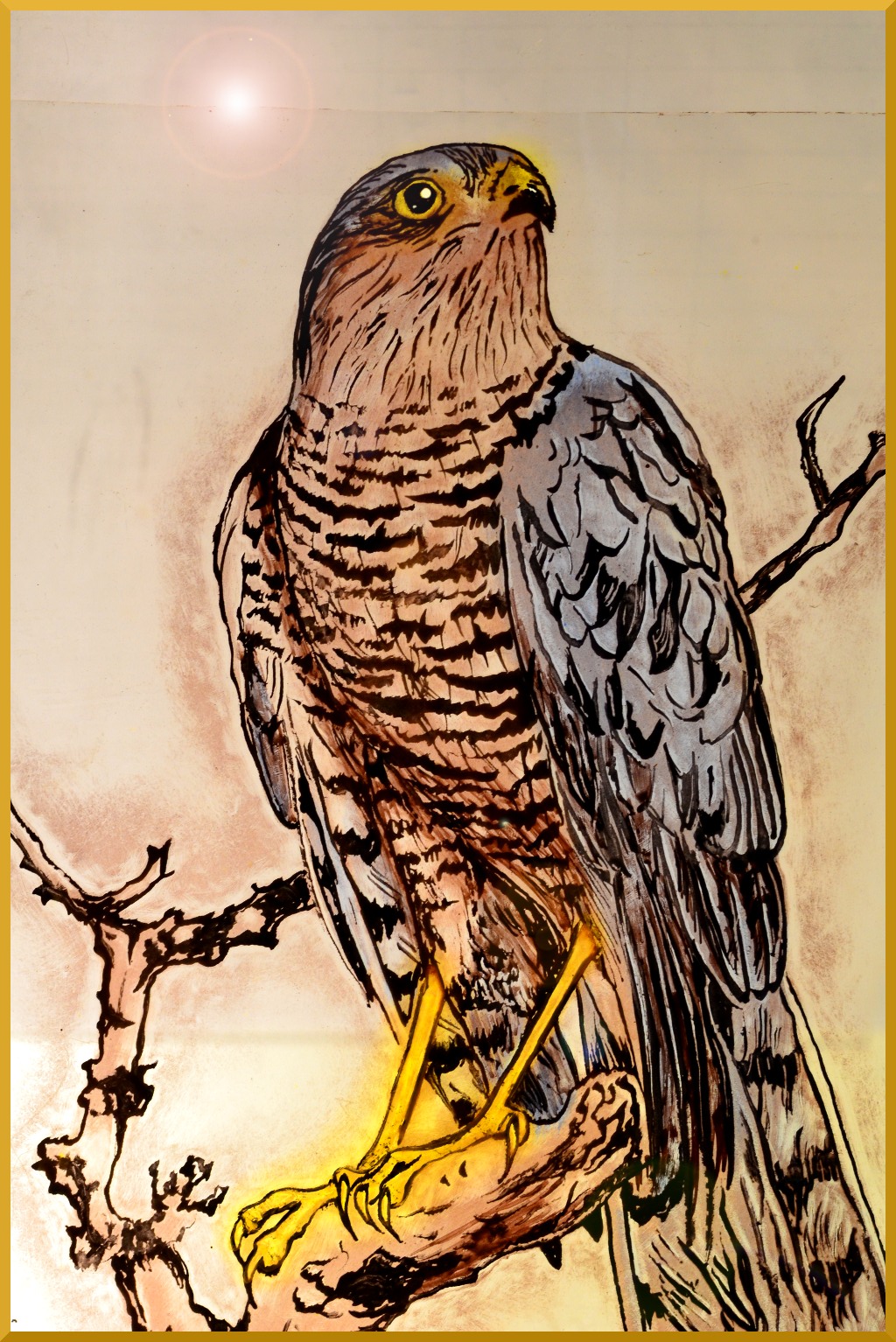 Florian's
                  Falcon